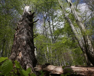 Die Naturjuwele der Slowakei