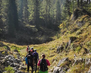 12.-15. Juni Wander-Tage im Nationalpark Kalkalpen